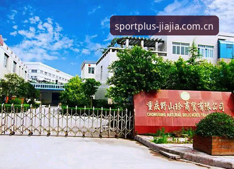 加加体育官网地址 加加体育官网地址究竟怎么样?为什么成为体育迷的首选入口?